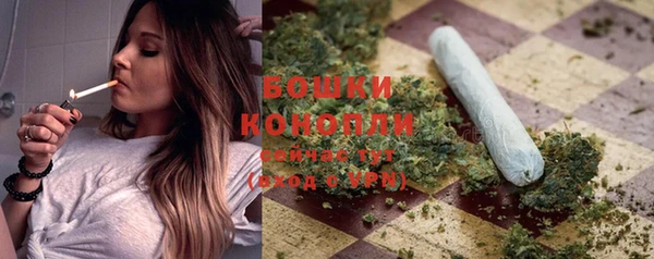 стаф Инсар