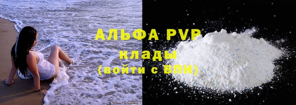 стаф Инсар