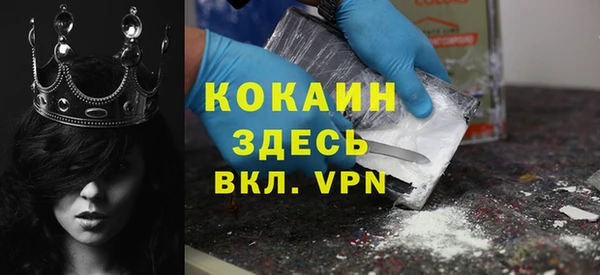 стаф Инсар